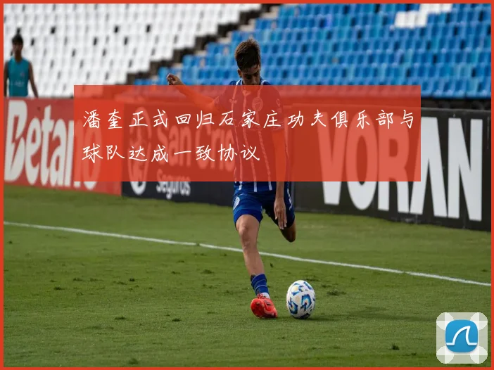 潘奎正式回归石家庄功夫俱乐部与球队达成一致协议